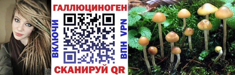 Галлюциногенные грибы мицелий купить цена Олонец
